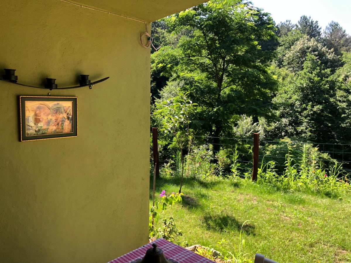 Happyhobbit Forest, Lake View, Fireplace , Jakuzi ,In Sapanca Zewnętrze zdjęcie